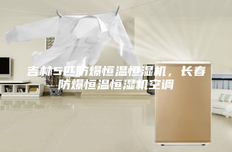 吉林5匹防爆恒溫恒濕機(jī)，長(zhǎng)春防爆恒溫恒濕機(jī)空調(diào)