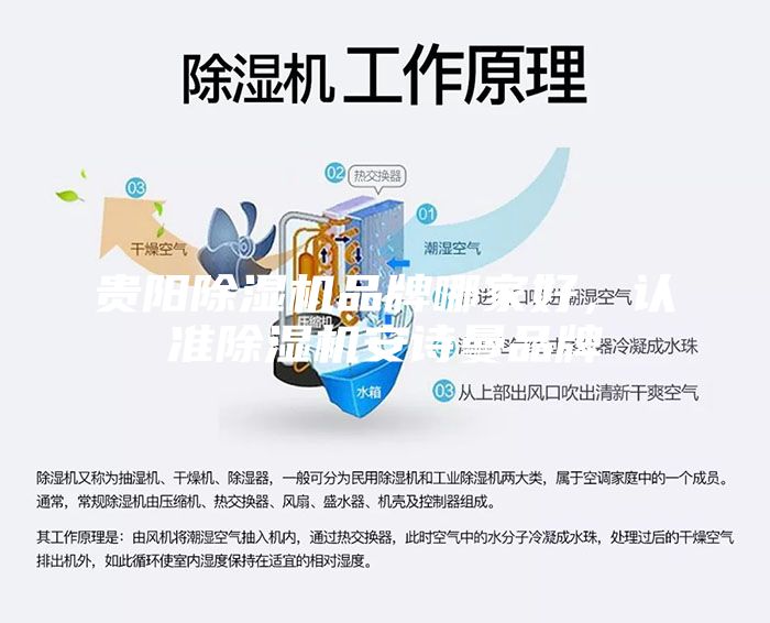 貴陽(yáng)除濕機(jī)品牌哪家好，認(rèn)準(zhǔn)除濕機(jī)安詩(shī)曼品牌