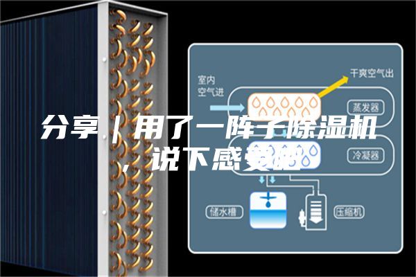 分享｜用了一陣子除濕機(jī)，說下感受吧