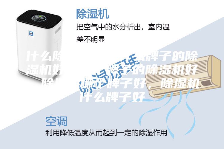 什么除濕機好，什么牌子的除濕機好，哪個牌子的除濕機好，除濕機哪個牌子好，除濕機什么牌子好