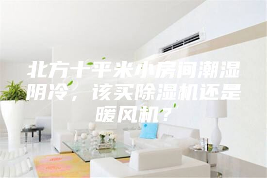 北方十平米小房間潮濕陰冷，該買除濕機還是暖風機？