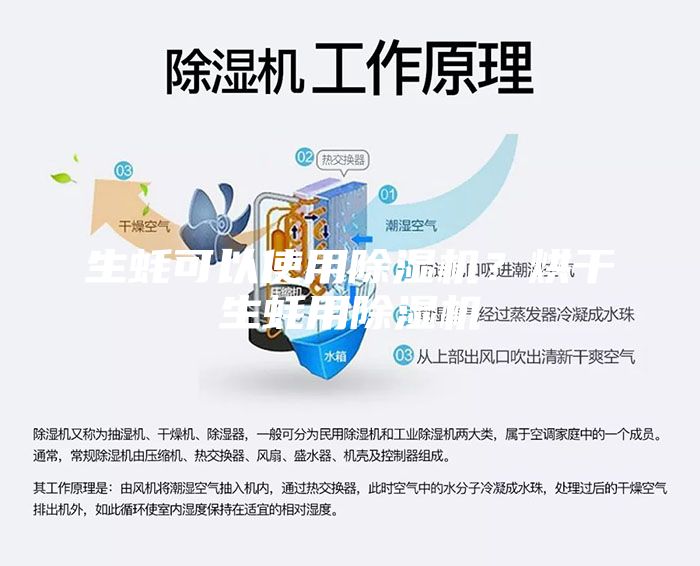 生蠔可以使用除濕機(jī)？烘干生蠔用除濕機(jī)