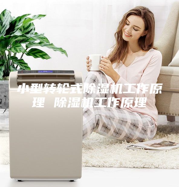 小型轉(zhuǎn)輪式除濕機(jī)工作原理 除濕機(jī)工作原理
