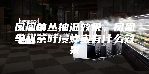 鳳凰單叢抽濕效果，鳳凰單樅荼葉浸蜂蜜有什么效果