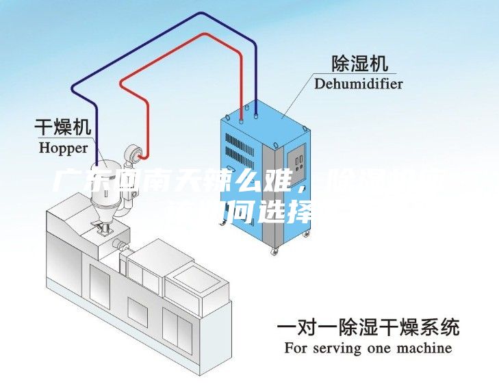 廣東回南天辣么難，除濕機(jī)應(yīng)該如何選擇？