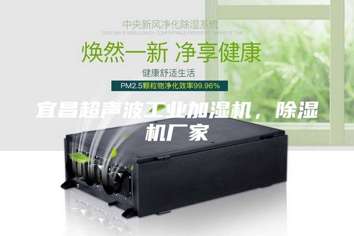 宜昌超聲波工業(yè)加濕機(jī)，除濕機(jī)廠家