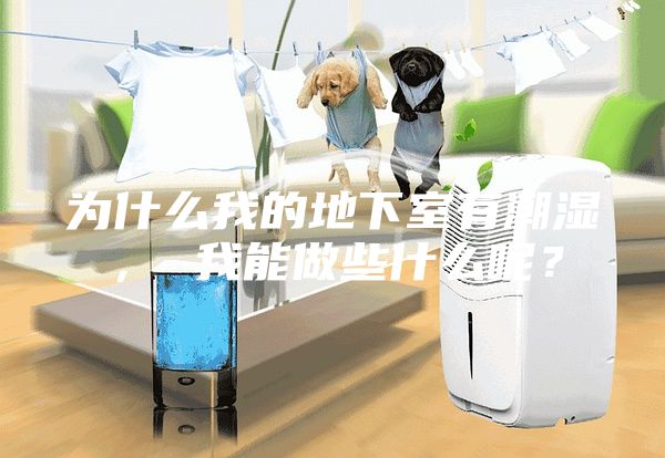 為什么我的地下室有潮濕， 我能做些什么呢？