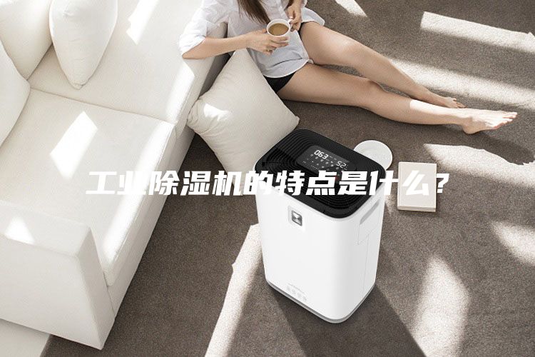 工業(yè)除濕機(jī)的特點(diǎn)是什么？