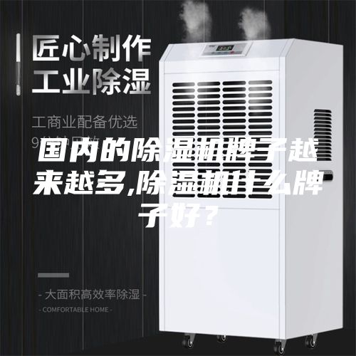 國內(nèi)的除濕機(jī)牌子越來越多,除濕機(jī)什么牌子好？