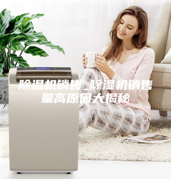 除濕機(jī)銷售_除濕機(jī)銷售量高原因大揭秘