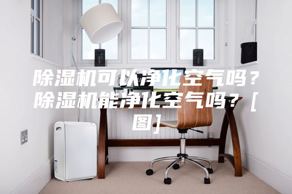 除濕機(jī)可以凈化空氣嗎？除濕機(jī)能凈化空氣嗎？[圖]