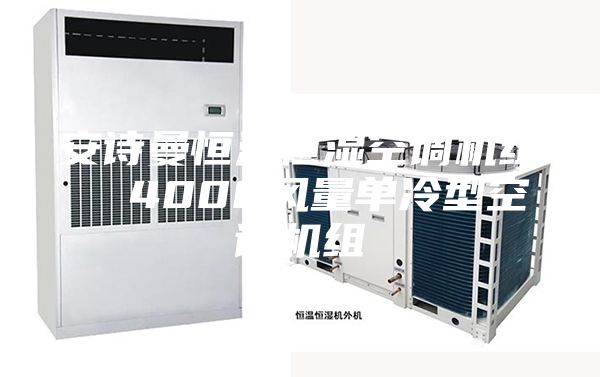 安詩曼恒溫恒濕空調(diào)機組  4000風(fēng)量單冷型空調(diào)機組