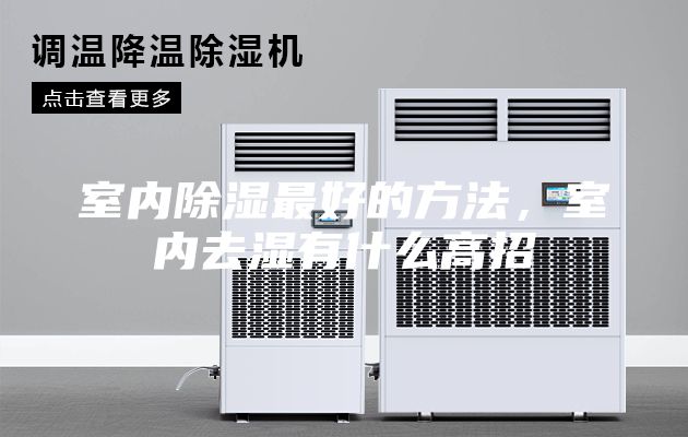 室內(nèi)除濕最好的方法，室內(nèi)去濕有什么高招