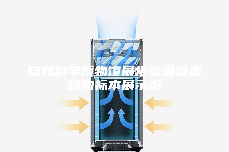 自然科學(xué)博物館展柜恒溫恒濕動(dòng)物標(biāo)本展示柜