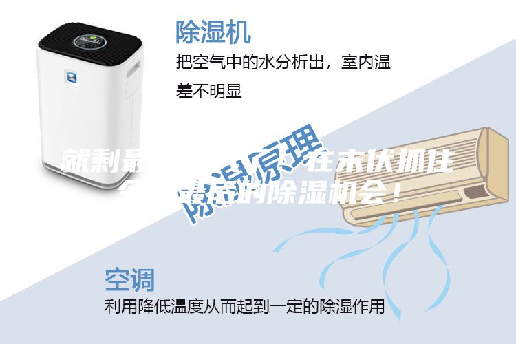 就剩最后一天了！在末伏抓住今年最后的除濕機會！