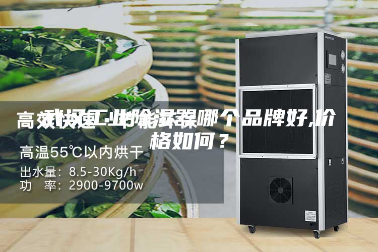 武漢工業(yè)除濕器哪個品牌好,價格如何？