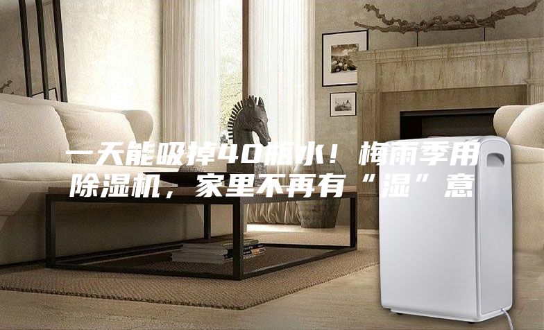 一天能吸掉40瓶水！梅雨季用除濕機，家里不再有“濕”意