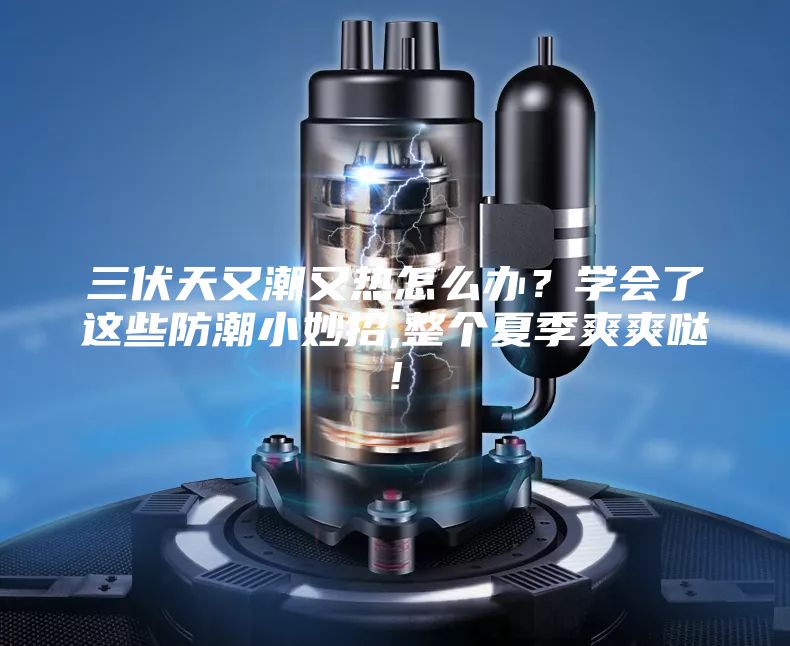 三伏天又潮又熱怎么辦？學(xué)會了這些防潮小妙招,整個夏季爽爽噠!