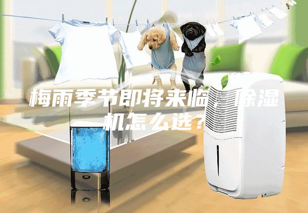 梅雨季節(jié)即將來臨，除濕機(jī)怎么選？