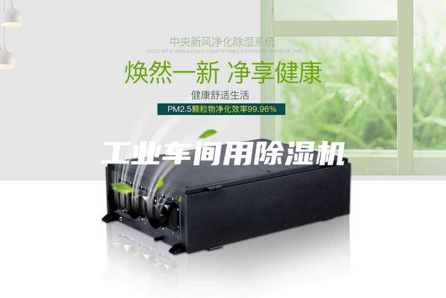 工業(yè)車(chē)間用除濕機(jī)