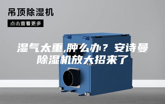 濕氣太重,腫么辦？安詩曼除濕機放大招來了