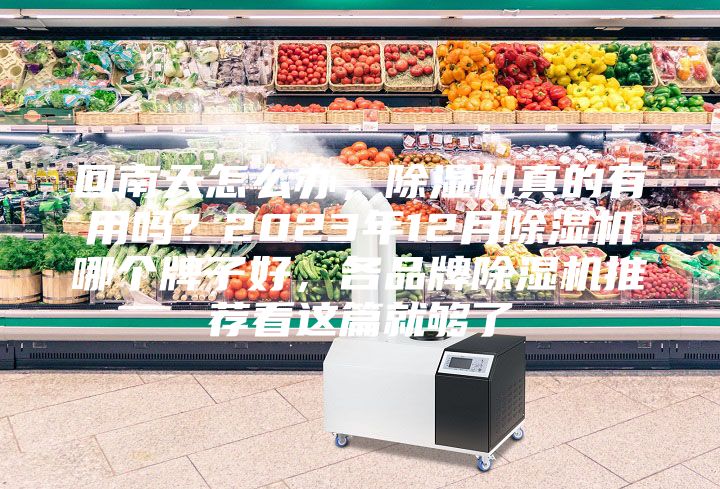 回南天怎么辦，除濕機真的有用嗎？2023年12月除濕機哪個牌子好，各品牌除濕機推薦看這篇就夠了
