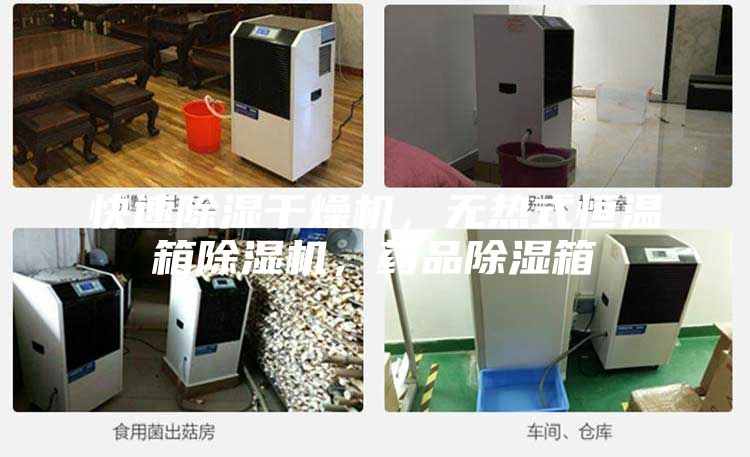 快速除濕干燥機(jī)，無熱式恒溫箱除濕機(jī)，藥品除濕箱
