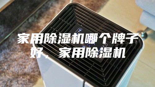家用除濕機(jī)哪個牌子好，家用除濕機(jī)