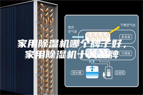 家用除濕機(jī)哪個(gè)牌子好，家用除濕機(jī)十大品牌