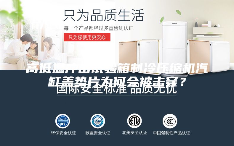 高低溫沖擊試驗(yàn)箱制冷壓縮機(jī)汽缸蓋墊片為何會(huì)被擊穿？