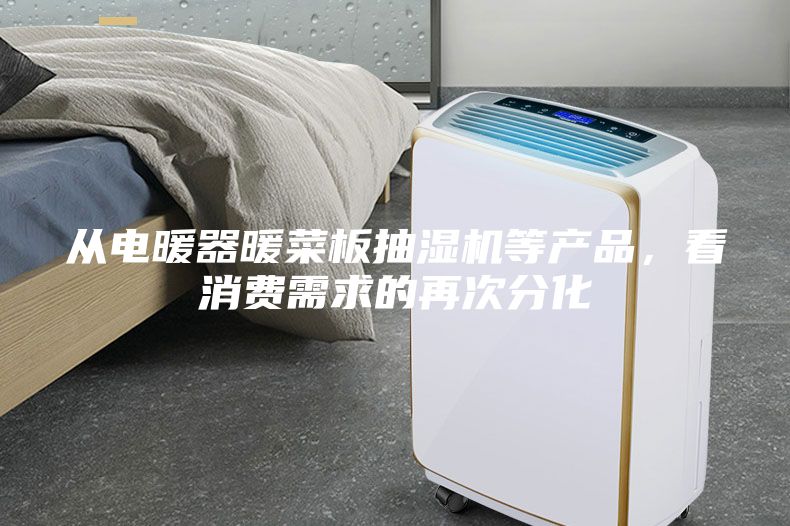從電暖器暖菜板抽濕機(jī)等產(chǎn)品，看消費(fèi)需求的再次分化