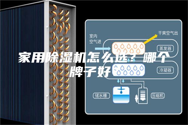家用除濕機怎么選？哪個牌子好？