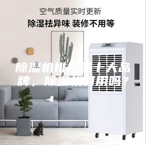除濕機(jī)排名前十大品牌，除濕機(jī)有用嗎？