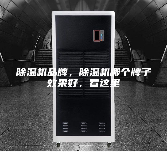 除濕機品牌，除濕機哪個牌子效果好，看這里