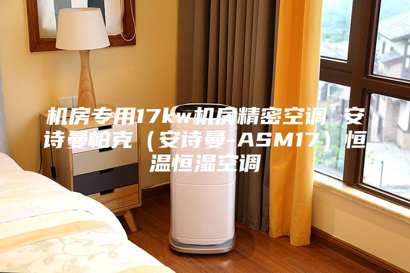 機(jī)房專用17kw機(jī)房精密空調(diào) 安詩曼帕克（安詩曼-ASM17）恒溫恒濕空調(diào)