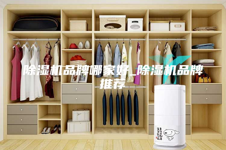 除濕機(jī)品牌哪家好_除濕機(jī)品牌推薦