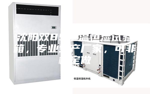 沈陽雙85恒溫恒濕試驗箱，專業(yè)生產(chǎn)廠家，可非標(biāo)定做