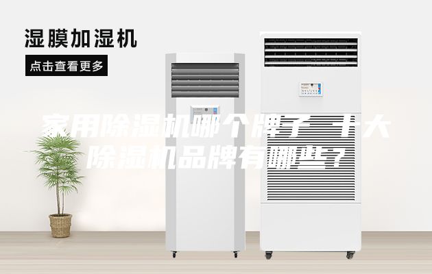 家用除濕機哪個牌子 十大除濕機品牌有哪些？
