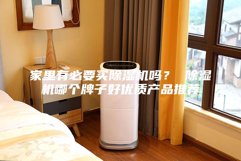 家里有必要買除濕機嗎？ 除濕機哪個牌子好優(yōu)質產品推薦