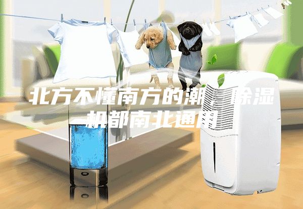 北方不懂南方的潮，除濕機(jī)都南北通用