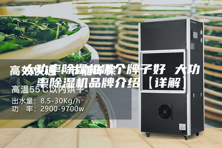 大功率除濕機(jī)哪個(gè)牌子好 大功率除濕機(jī)品牌介紹【詳解】