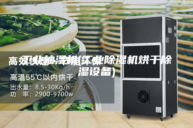 工業(yè)抽濕機(工業(yè)除濕機烘干除濕設備)