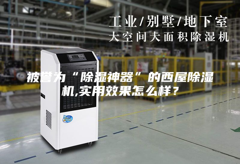 被譽(yù)為“除濕神器”的西屋除濕機(jī),實用效果怎么樣？
