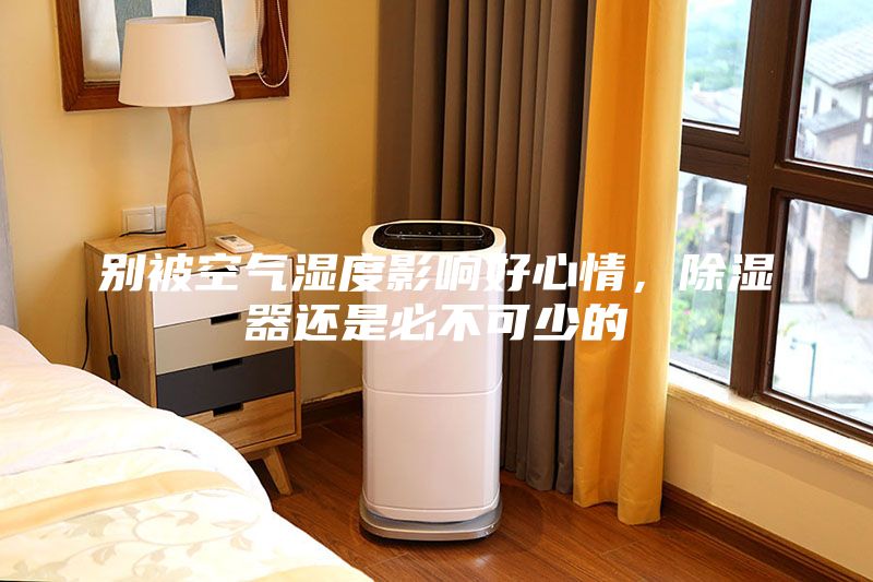 別被空氣濕度影響好心情，除濕器還是必不可少的