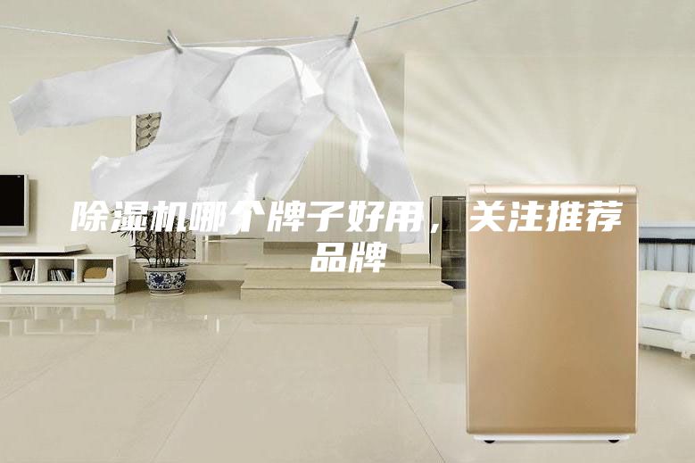 除濕機哪個牌子好用，關(guān)注推薦品牌