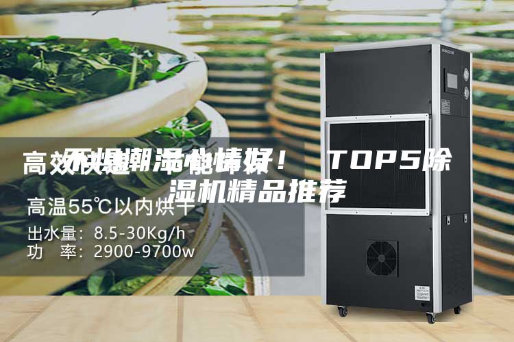 不懼潮濕心情好！ TOP5除濕機精品推薦