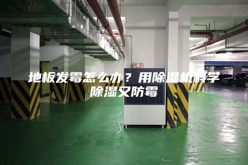 地板發(fā)霉怎么辦？用除濕機(jī)科學(xué)除濕又防霉