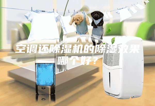 空調(diào)還除濕機的除濕效果哪個好？