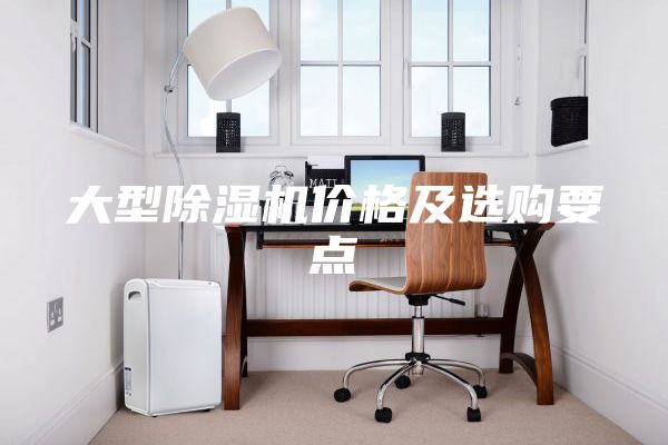 大型除濕機(jī)價格及選購要點(diǎn)