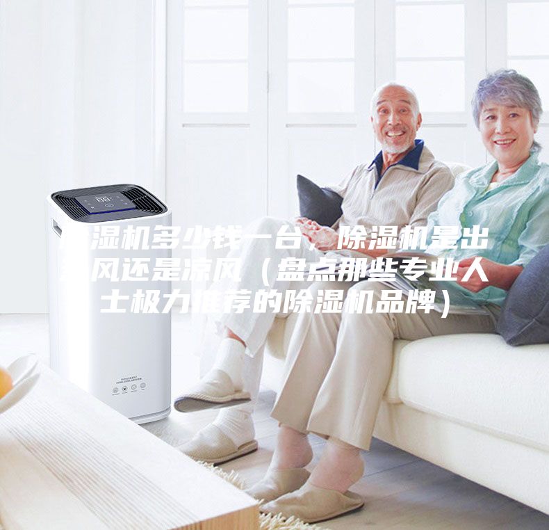 除濕機多少錢一臺，除濕機是出熱風(fēng)還是涼風(fēng)（盤點那些專業(yè)人士極力推薦的除濕機品牌）